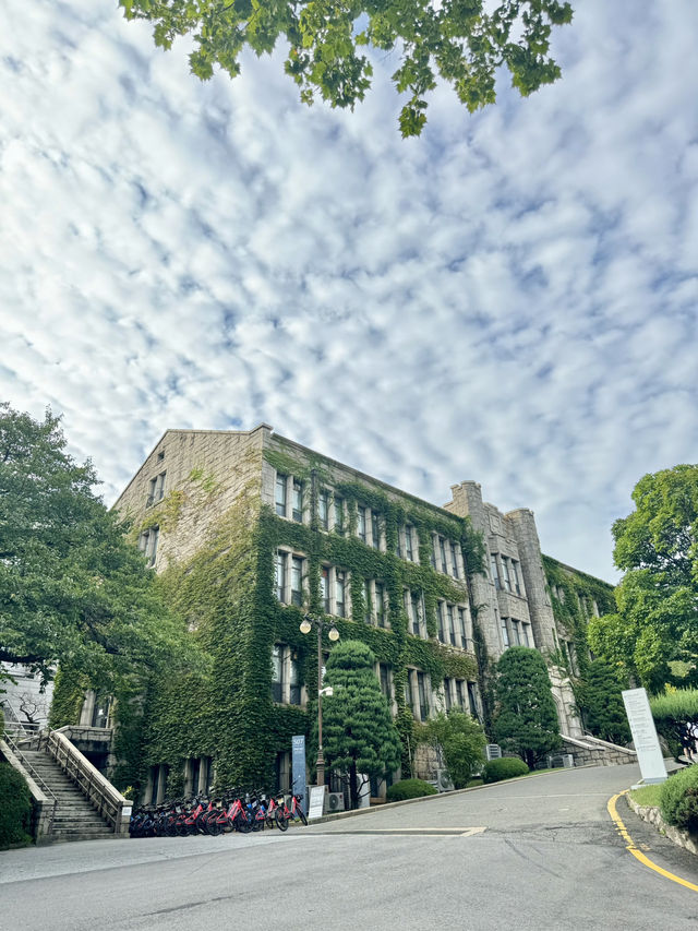 DISCOVER YONSEI UNIVERSITY | SEOUL'S PRESTIGIOUS AND ICONIC CAMPUS 
