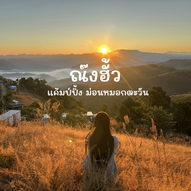 #ลานกางเต็นท์ #ม่อนหมอกตะวัน #เที่ยวตาก