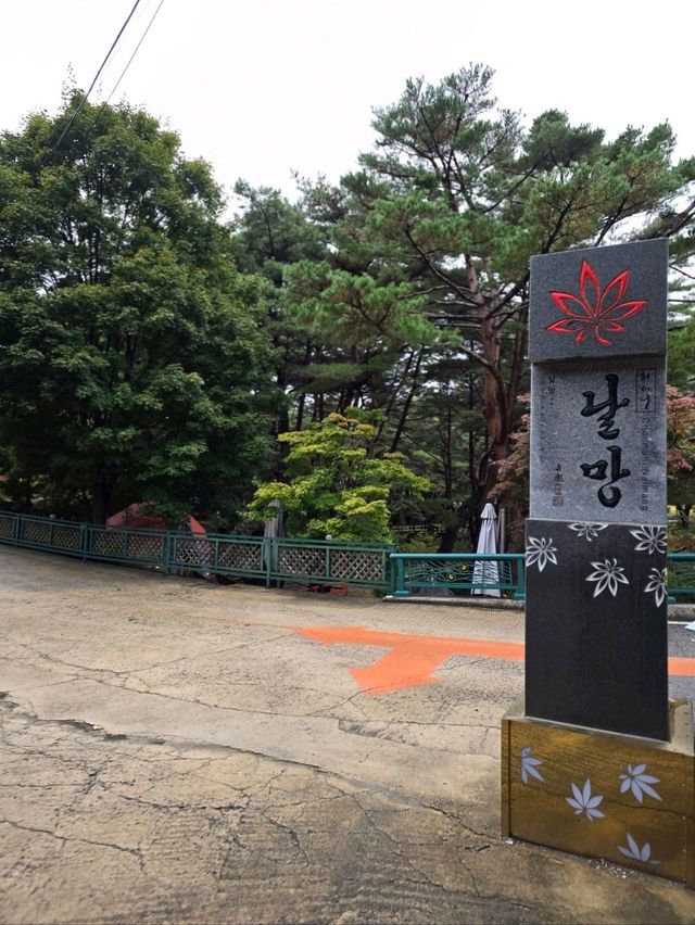 야외정원이 예쁜 무주 역대급 단풍카페🧡