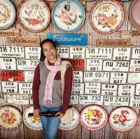 ทริปการเดินทางสุดแสนพิเศษ