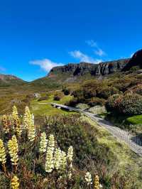 Walls of Jerusalem National Park