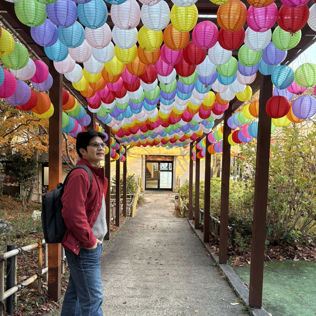 八幡山纜車上山後就是漂亮的楓葉