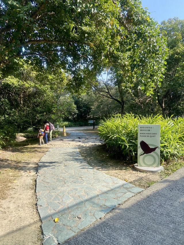🥰❤️沉浸於大自然～香港必去濕地公園🏞️🌳