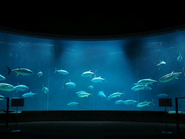 水仙が綺麗なデートスポット💐葛西臨海公園