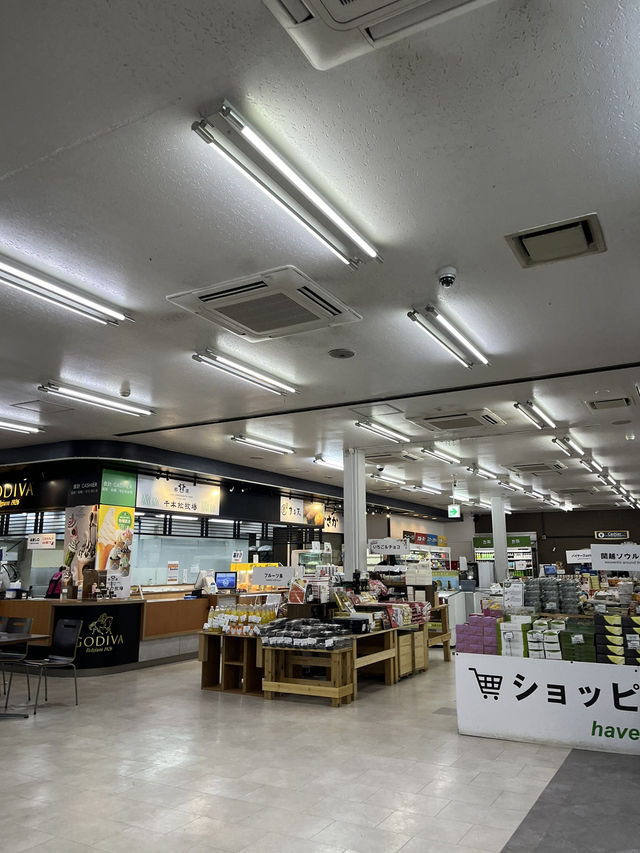 【埼玉県🇯🇵】ウルトラマンがいるサービスエリア！？