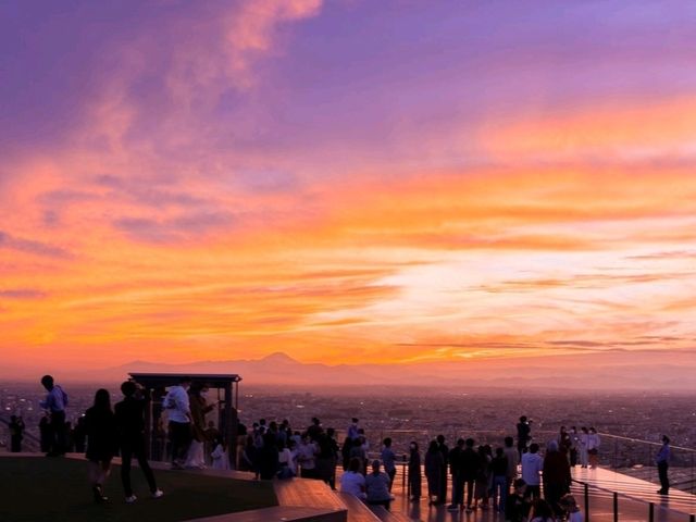 海外旅行客に大人気🗼渋谷スカイ