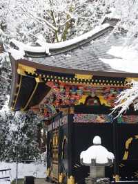 【宮城×冬の旅】