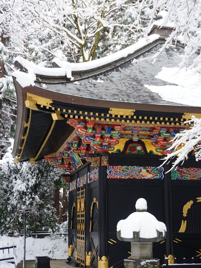【宮城×冬の旅】