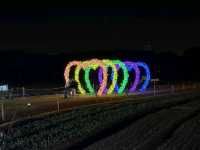 Enchanting Winter Wonderland at Nabona no Sato