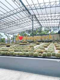สวนนงนุช