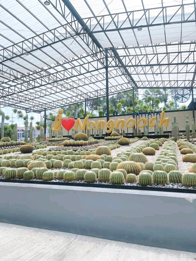 สวนนงนุช