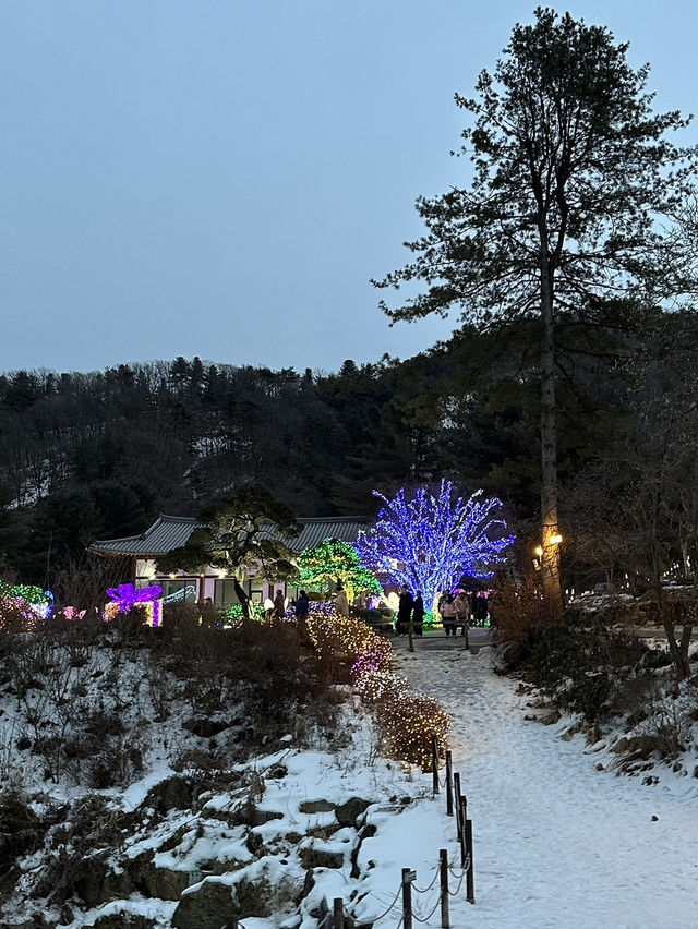 옥씨부인전 촬영지! 가평 아침고요수목원에서 별빛축제즐기기💜