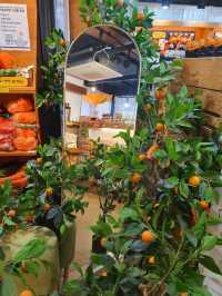 🍊귤 덕후라면 필수 방문! 귤귤스토어 애월점🍊
