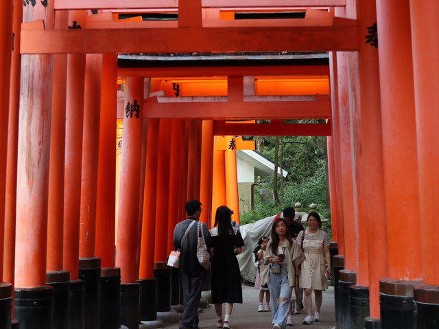 Trail of a Thousand Gates: Discover Fushimi Inari Shrine