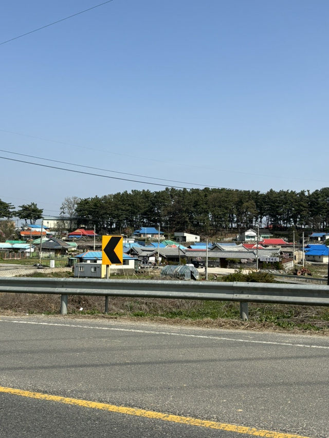 부여