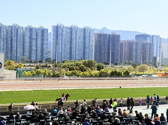 香港賭馬初體驗