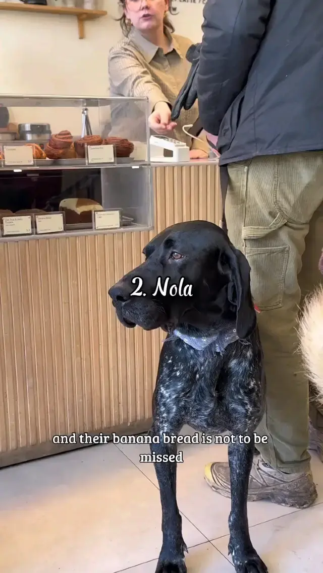 𝐋𝐎𝐍𝐃𝐎𝐍’𝐒 𝐇𝐎𝐓𝐓𝐄𝐒𝐓 𝐁𝐀𝐊𝐄𝐑𝐈𝐄𝐒