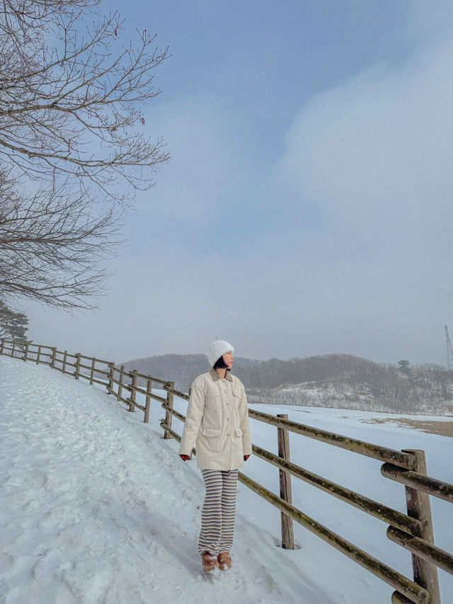☃️겨울 분위기 끝판왕 대관령 하늘목장🇰🇷