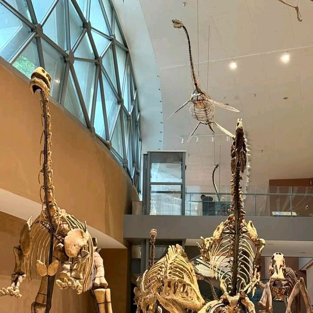 สุดยอดพิพิธภัณฑ์ Shanghai Natural History Museum