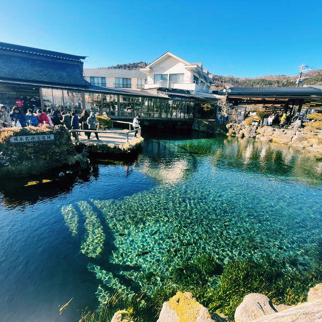 富士吉田市酒店分享
