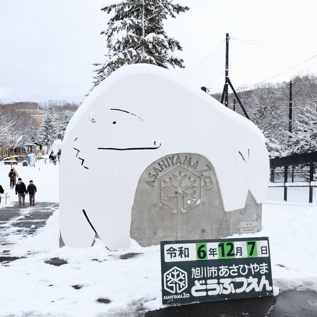 Asahiyama Zoo สวนสัตว์ยอดฮิตเมือง Asahikawa