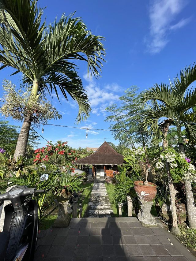 🇮🇩 Campuhan Ridge Walk