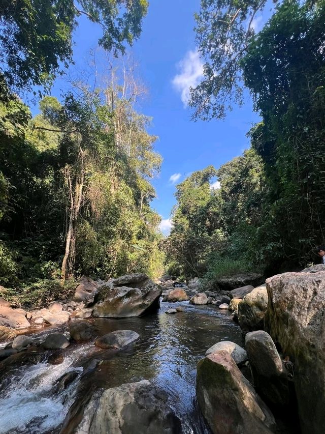 Xishuangbanna Tropical Rainforest National Park: Wangtianshu Scenic Area