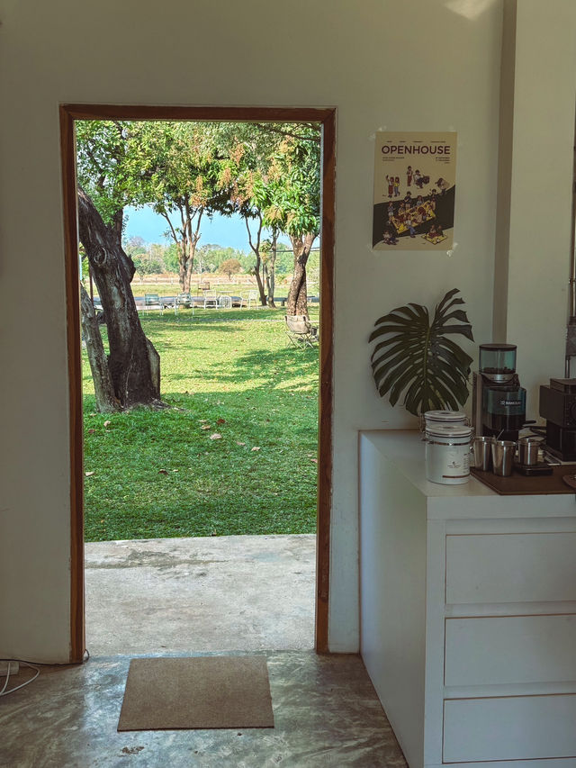 ANNA COFFEE ROASTERS : HUARUEA