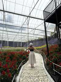 Best OOTD Spot at Cameron Highlands