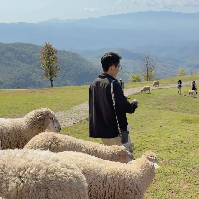 อาข่า ฟาร์มวิลล์ (Akha FarmVille) 🐑🌳🍃 