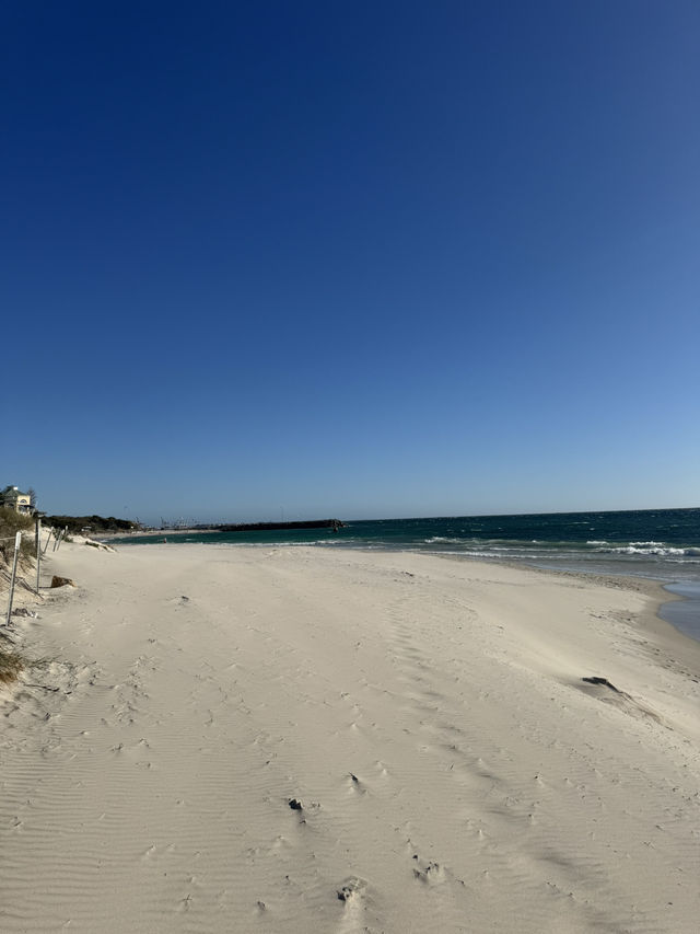 Sunset Bliss at Cottesloe Beach