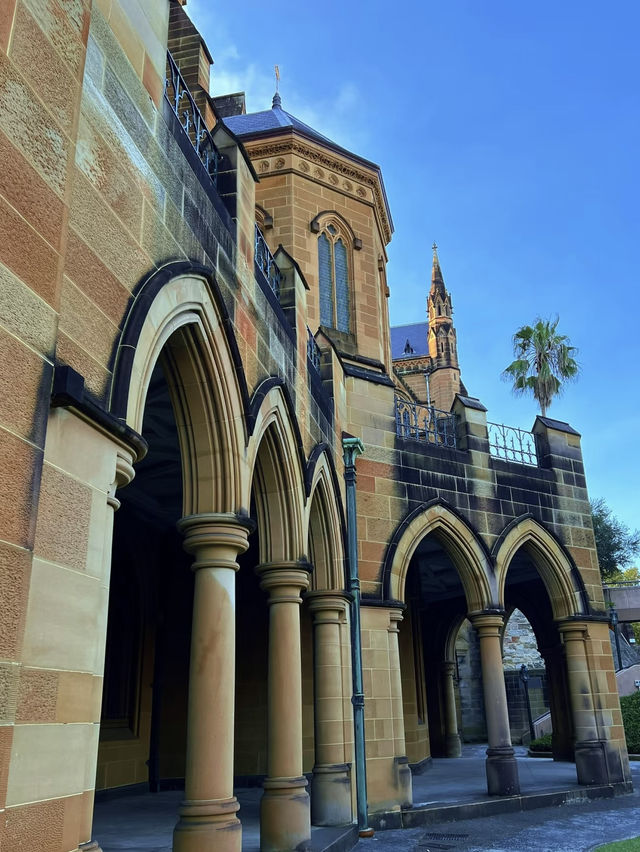 A Serene Visit to St. Mary’s Cathedral, Sydney