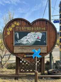 구례 대표적인 봄 축제, 구례 산수유마을 🌼