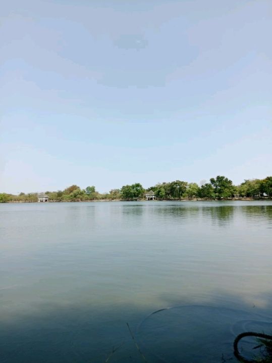 พักผ่อนหย่อนใจ ที่ สวนสาธารณะบึงหนองบอน