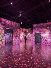 Arte Museum Jeju