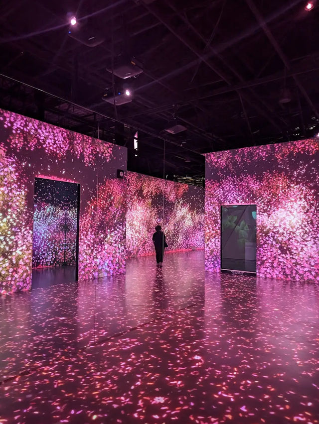 Arte Museum Jeju