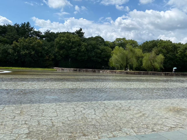 【豊田市美術館】