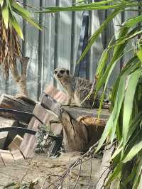 Jamala Wildlife Lodge