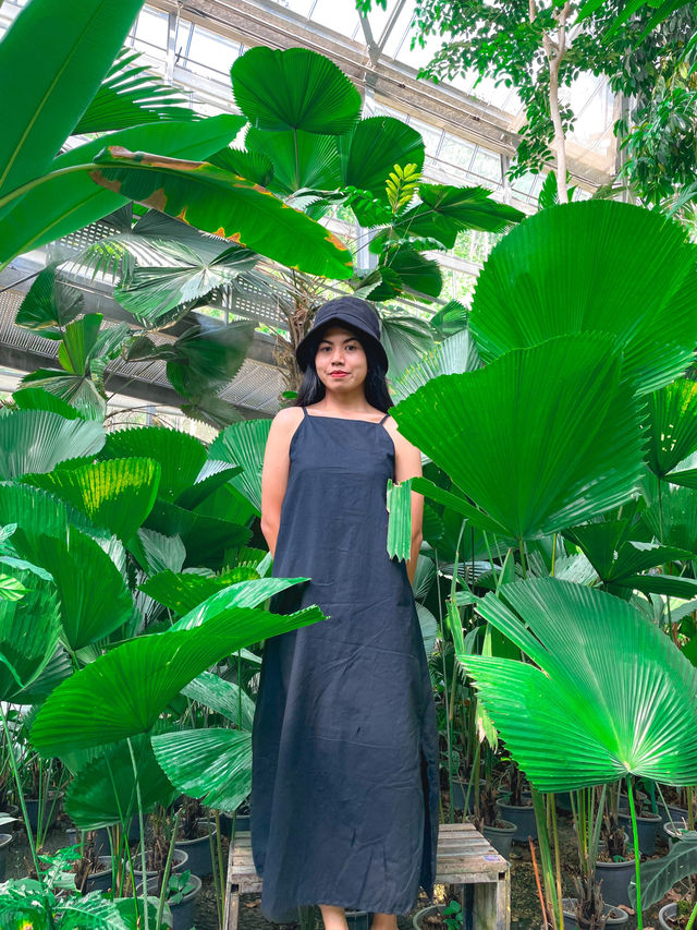 โซนน้ำตกจำลอง ของสวนพฤษศาสตร์เชียงใหม่ 💦