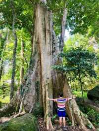 ลอดประตูสวรรค์ ✨วัดสวยกลางป่า 🌿