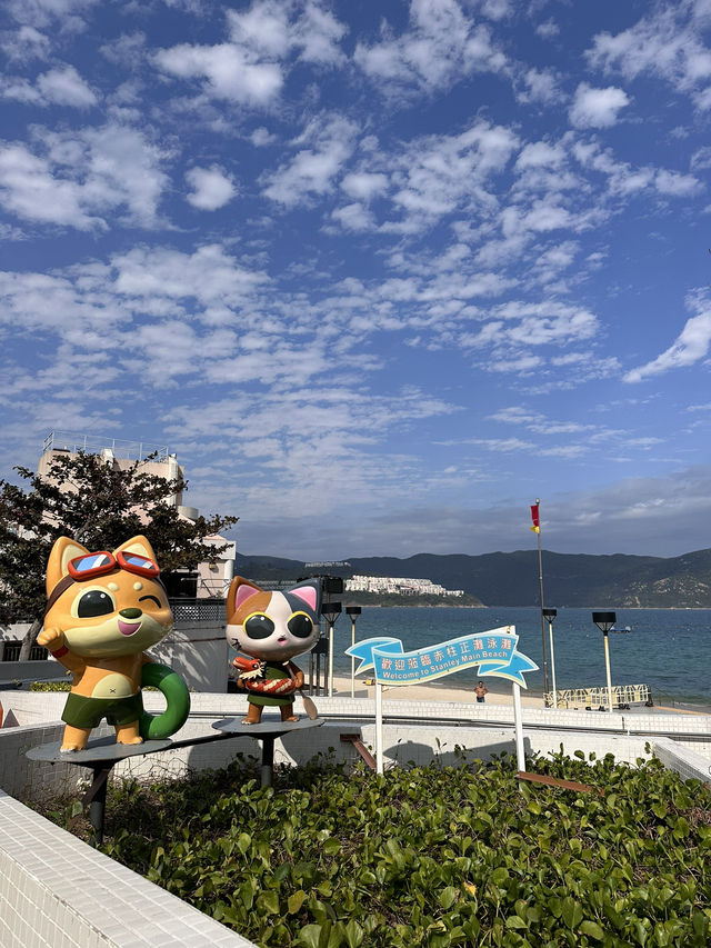 🇭🇰香港也有濟州島的果凍海！超清澈透明！ 🌊✨