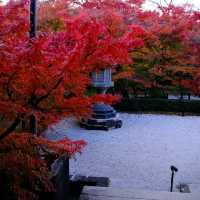 Kyoto - Eikando đừng nên bỏ qua
