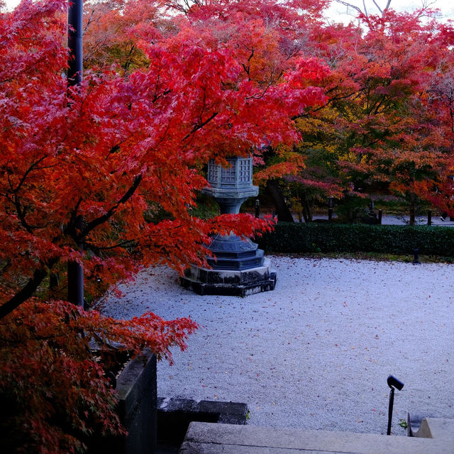 Kyoto - Eikando đừng nên bỏ qua