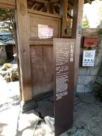 日本三景之松島遊：宮城縣“舊龜井邸”建築