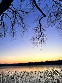 Frozen beauty at Summer Palace