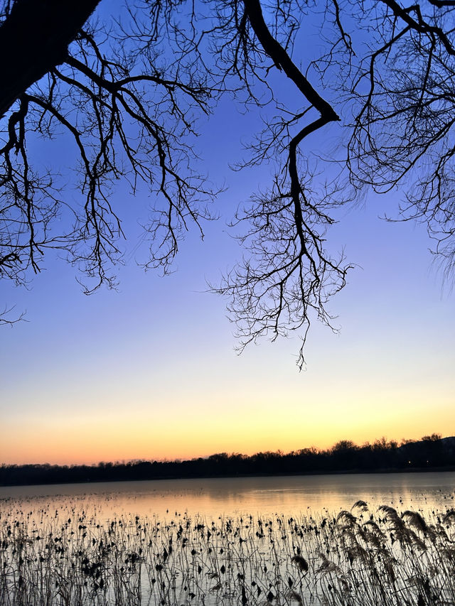 Frozen beauty at Summer Palace