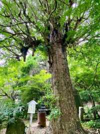 眉山山麓に位置する禅寺