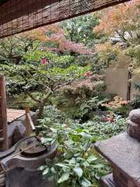 【京都/烏丸御池】京都の有形文化財でわらび餅がいただける 『麓寿庵』