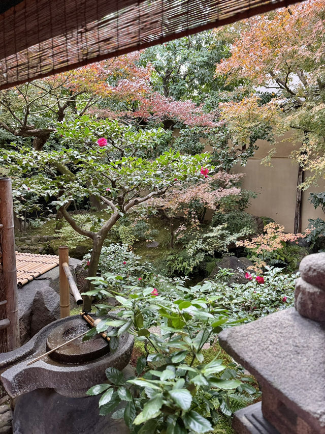 【京都/烏丸御池】京都の有形文化財でわらび餅がいただける 『麓寿庵』