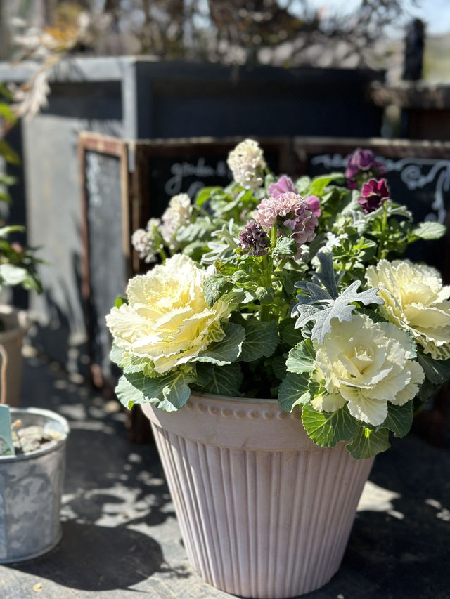 【埼玉×東松山】桜の季節は絶景！お花屋さんが経営するガーデンカフェ
